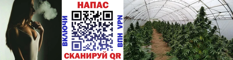 Наркотические вещества Тарко-Сале СОЛЬ  Cocaine  Меф мяу мяу  Конопля 