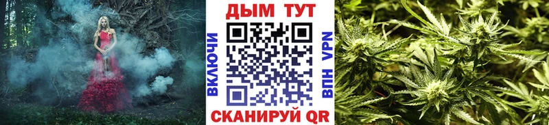 Конопля OG Kush Тарко-Сале